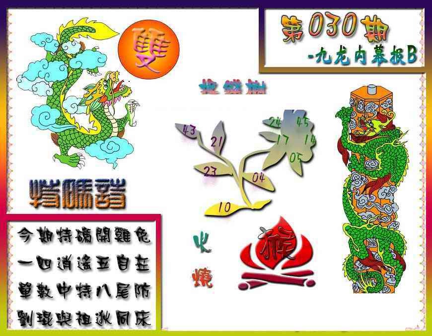 030期九龙内幕特肖图a[图]